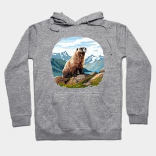 Marmot Hoodie